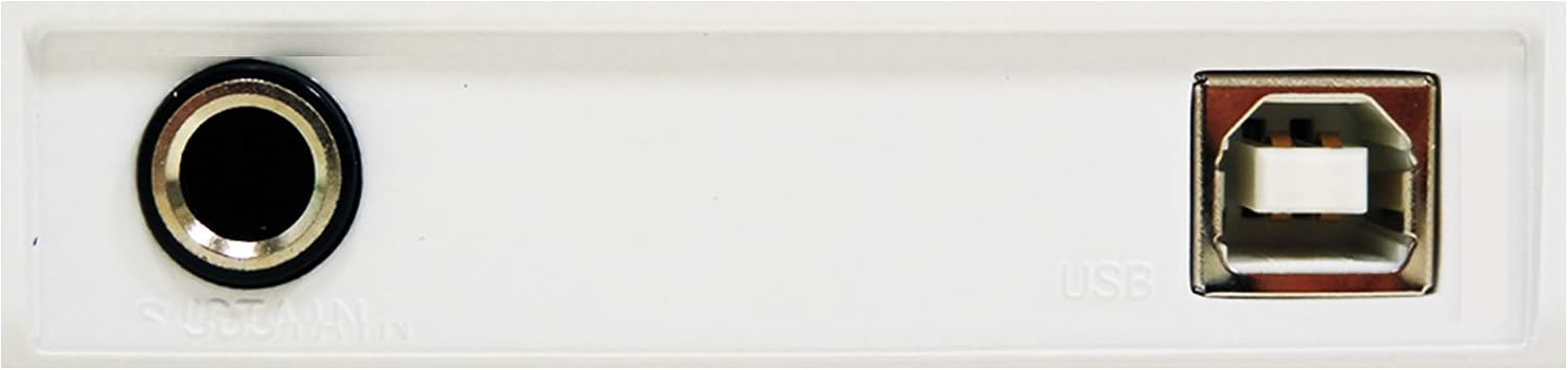 midiplus AKM320 32 key MIDI Keyboard Controller, white