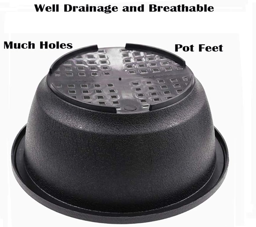 MUZHI 12PACK Matte Black Succulent Bonsai Round Planter Bowl Pot with Drainage, Plastic Cactus Flat Garden Plant Bowl Pots 6.3”