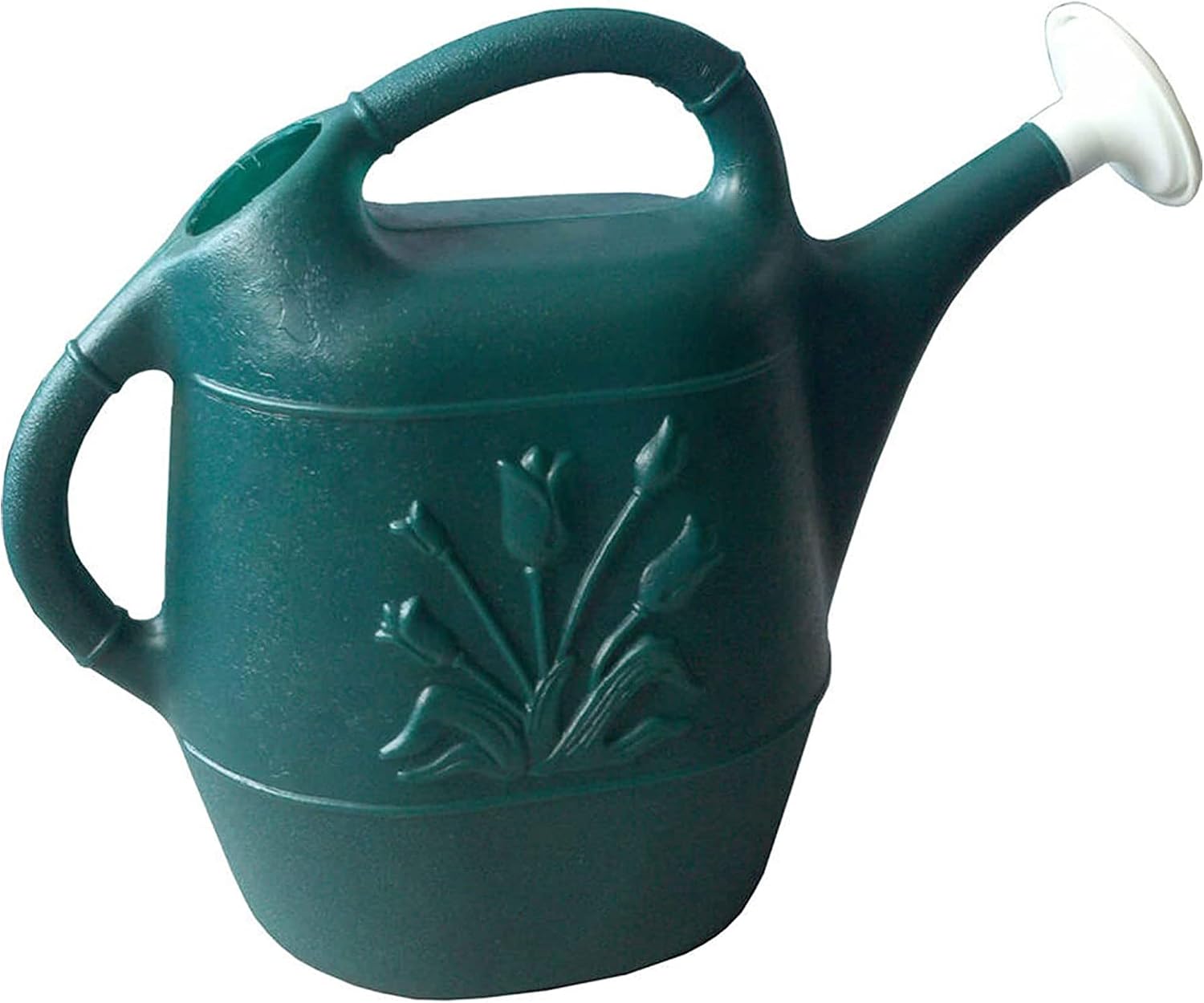 Union Products 63066 2 Gallon Plastic Indoor/Outdoor Watering Can w/Tulip Design for Garden, Potted Plants, & Patio Pots, Caribbean Blue