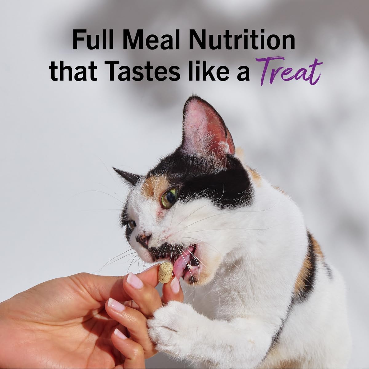 Stella & Chewy's Freeze-Dried Raw Cat Dinner Morsels - Premium Chicken Recipe with 98% Cage-Free Meat & Organs - Natural Grain-Free Cat & Kitten Food - Made in USA - 18 oz