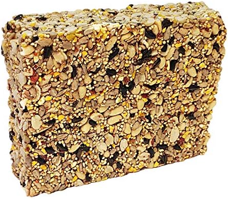 Wildlife Sciences Songbird Treats Seed Bars | 8 Pack of 2 lb Bird Seed Cakes for Wild Birds (Wild Bird Buffet)