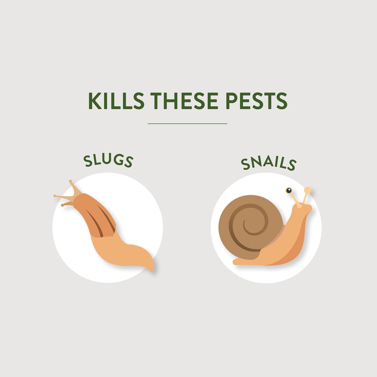 Garden Safe Slug & Snail Bait Granules, Kills Slugs & Snails, 2 Lb | Kills Slugs & Snails, For Lawns, Gardens & Greenhouses, Can Be Used Around Pets & Wildlife, Contains Iron Phosphate