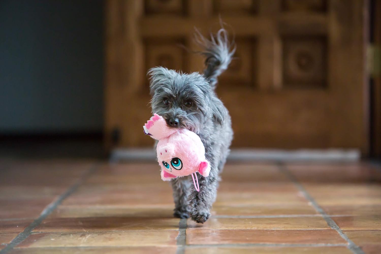 Multipet 43237-1 Knobby Noggins Chicken Dog Toy