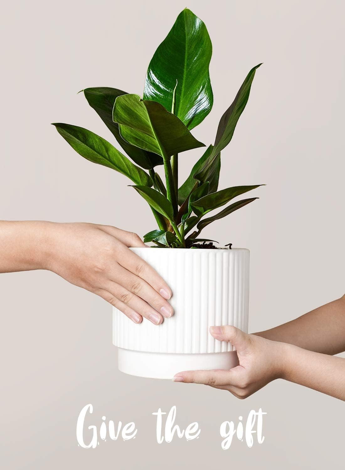 LE TAUCI Ceramic Plant Pots with Drainage Holes, Set of 3, 8+6.7+5.5 Inch Stripe Garden Planter Pots for Outdoor Indoor Plants Flower