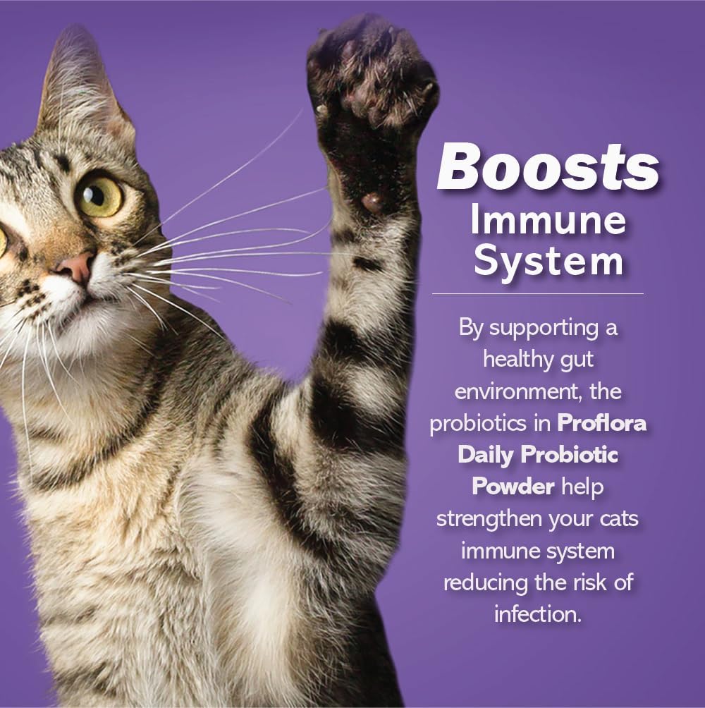 Probiotics and Prebiotics for Dogs – Daily Digestive Health Supplement, Supports Immune System, Gut Health, Healthy Digestion & Nutrient Absorption, 30 Powder Sachets.