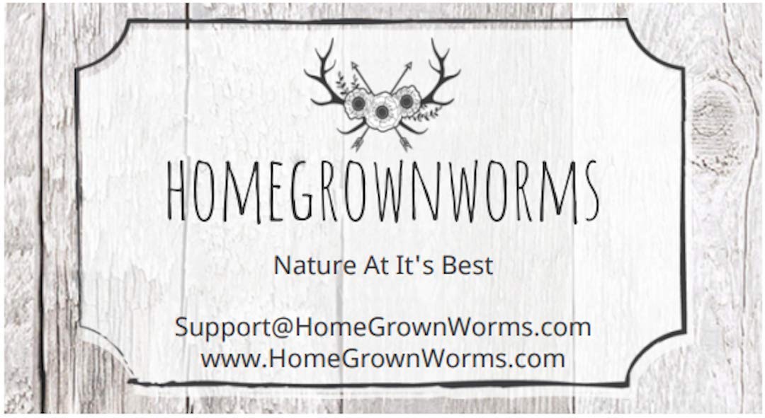2000+ (2LBS) Red Wigglers Live Worms for Composting & Garden - Live Delivery! - Worm Castings - Adder for Worm Farm for Kids Garden Red Wiggler
