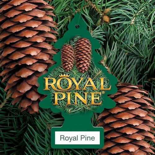 LITTLE TREES Car Air Freshener | Hanging Tree Provides Long Lasting Scent for Auto and Home | Royal Pine, 24 Air Fresheners
