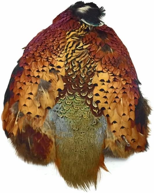 Complete Natural Ringneck Pheasant Skin Pelt Without Wing and Tails (Bulk) Fly Tying Dog Training | Amazon | Moonlight Feather