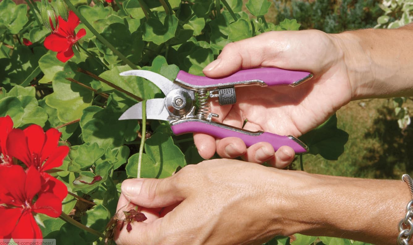 Dramm 18043 ColorPoint Bypass Pruner with Stainless Steel Blade, Yellow