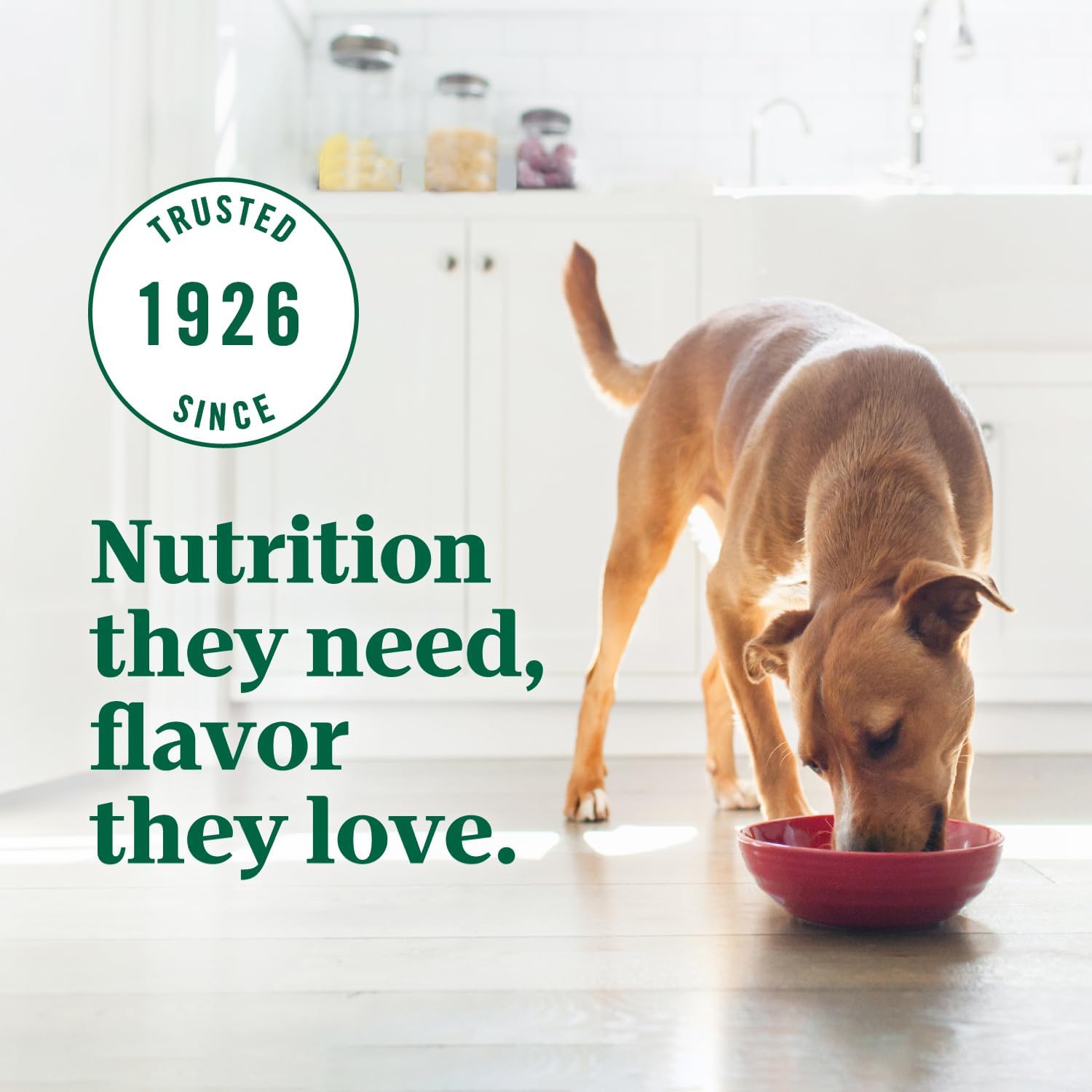 Nutro Ultra Dry Dog Food, Chicken, Lamb & Salmon Recipe, 30 lb | Trio of proteins, blend of 14 superfoods, omega 3 & 6 for radiant coat, antioxidants for immunity, natural fiber, non-GMO