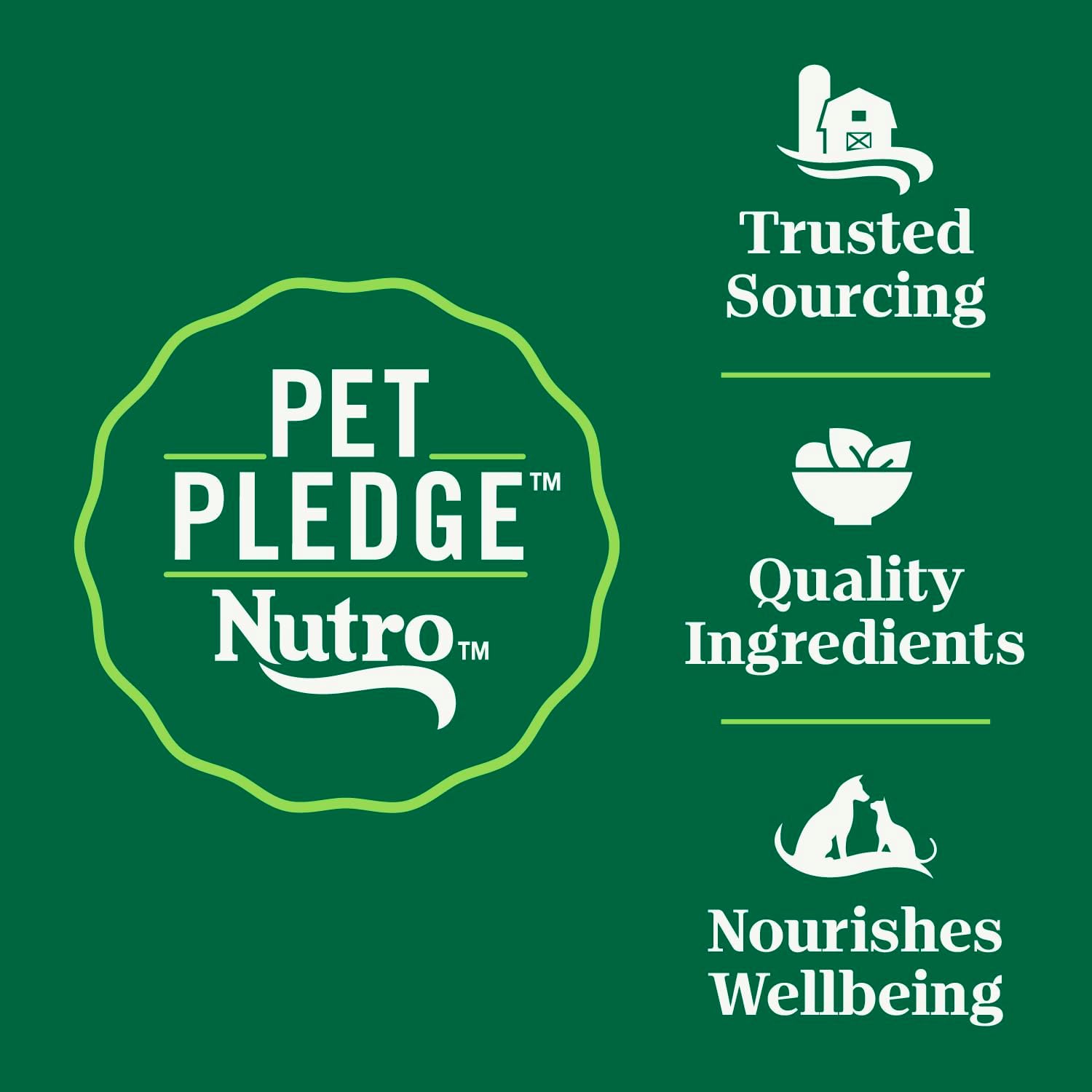 Nutro Wholesome Essentials Senior Dry Cat Food, Chicken & Rice, 14 lb | Real chicken #1 ingredient, essential antioxidants (Vitamin E & Selenium), Omega-6 for skin & coat, hairball control