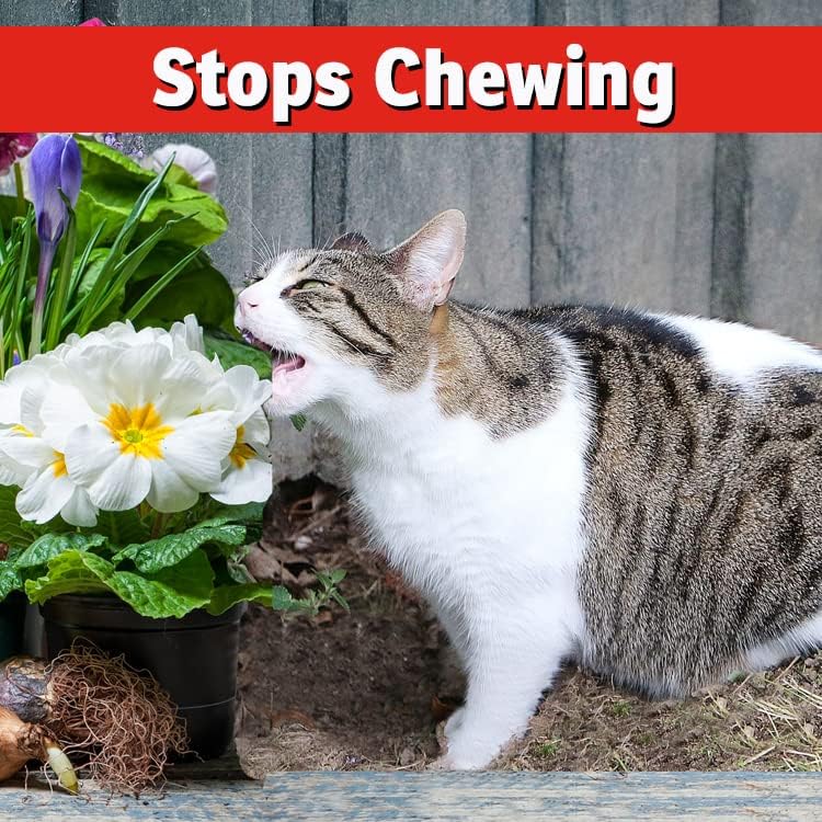 Dog & Cat Repellent: Stops Chewing, Natural, Pet Safe - 32oz | Stops Chewing, Natural, Pet Safe
