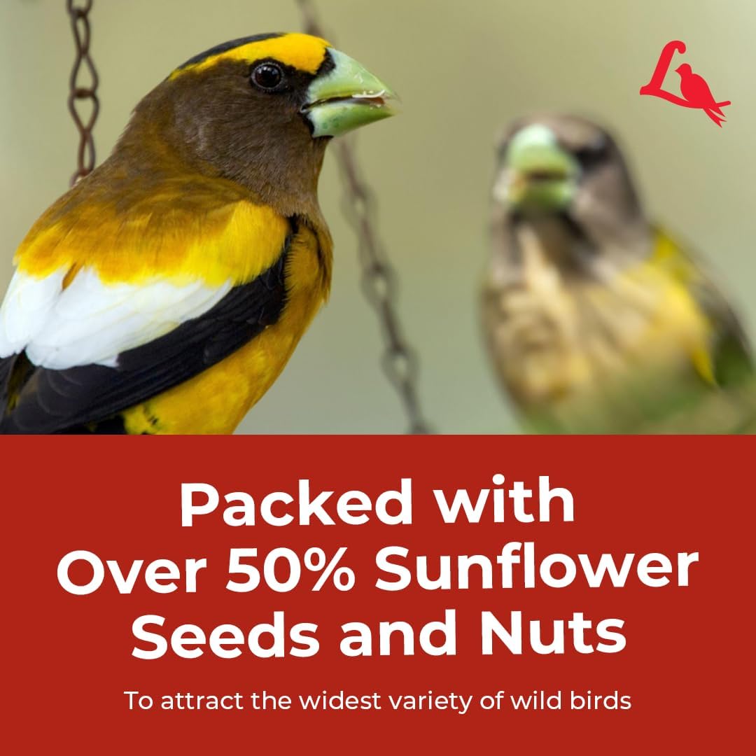Lyric Supreme Wild Bird Seed