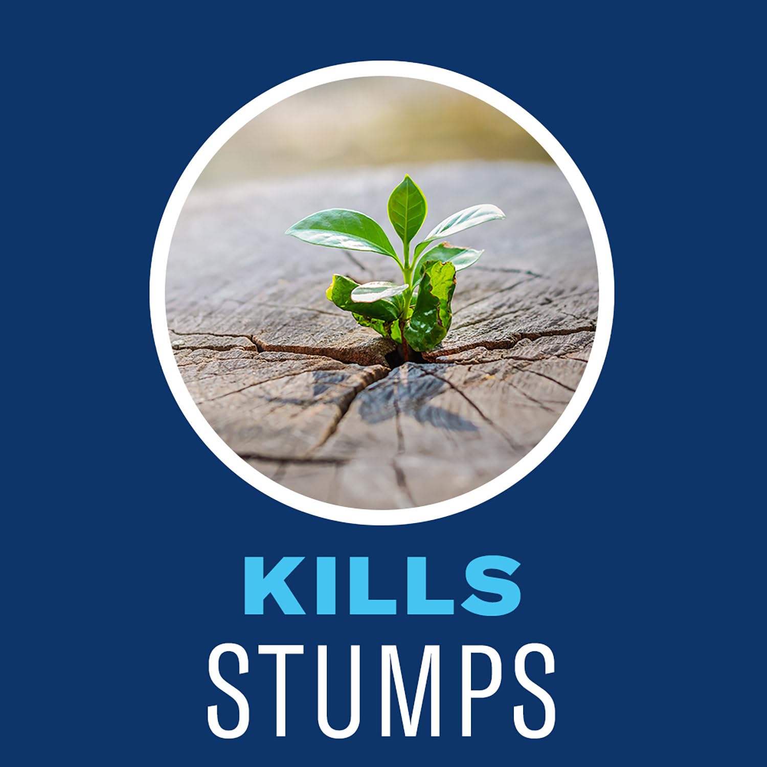 BioAdvanced Brush Killer Plus Concentrate - Mix & Spray - Kills Tough Brush like Poison Ivy and Kudzu - Visible Results in 1-6 Weeks - Rainproof in