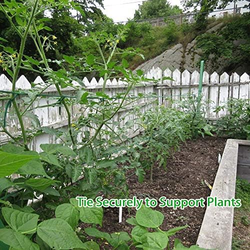 Shintop Plant Ties, 164 Feet 8mm Green Garden Twine for Tomato