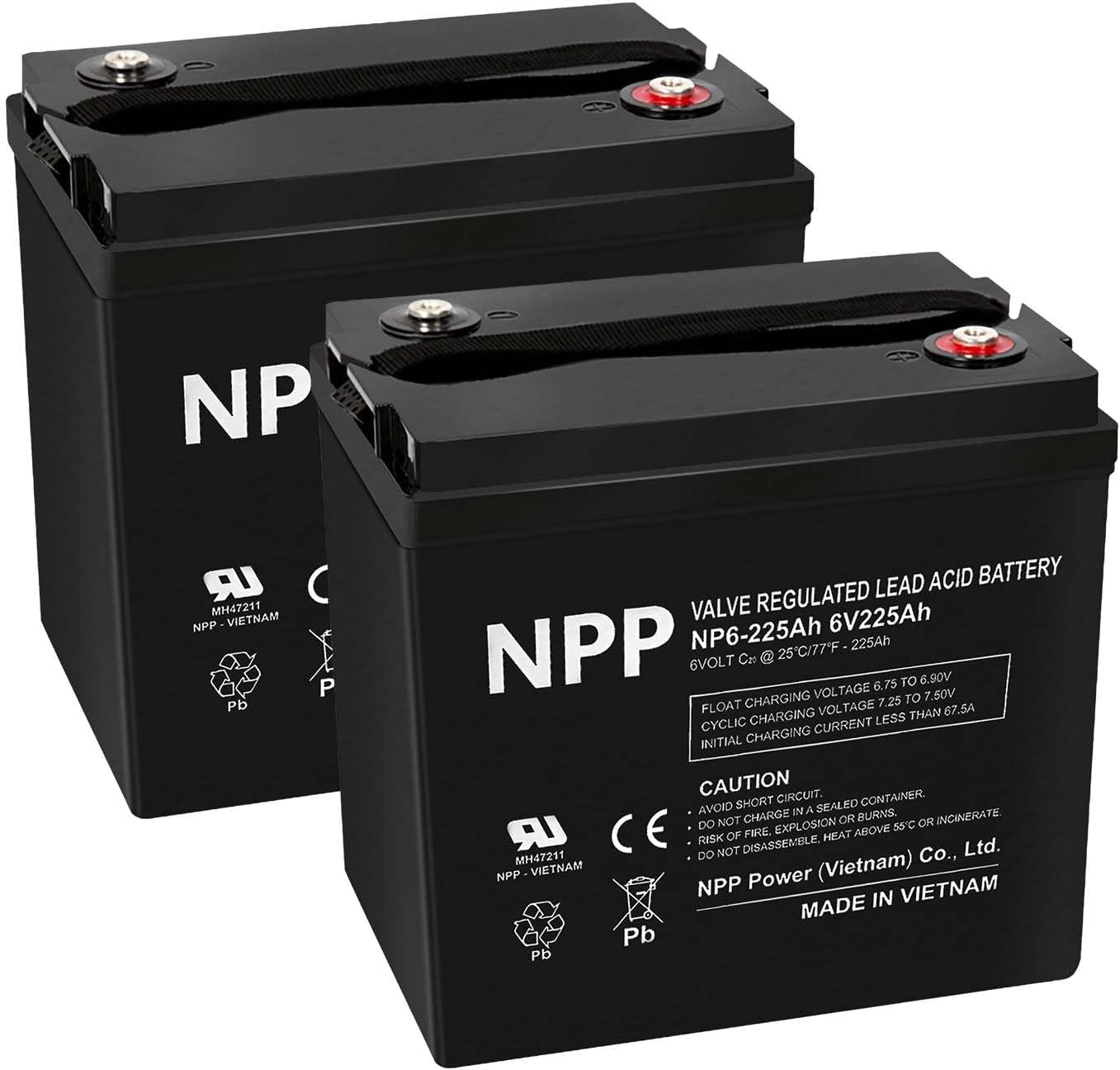 NPP 6V 225Ah AGM SLA Battery with T16 (M8) Terminal for Golf Cart (2 Pcs)