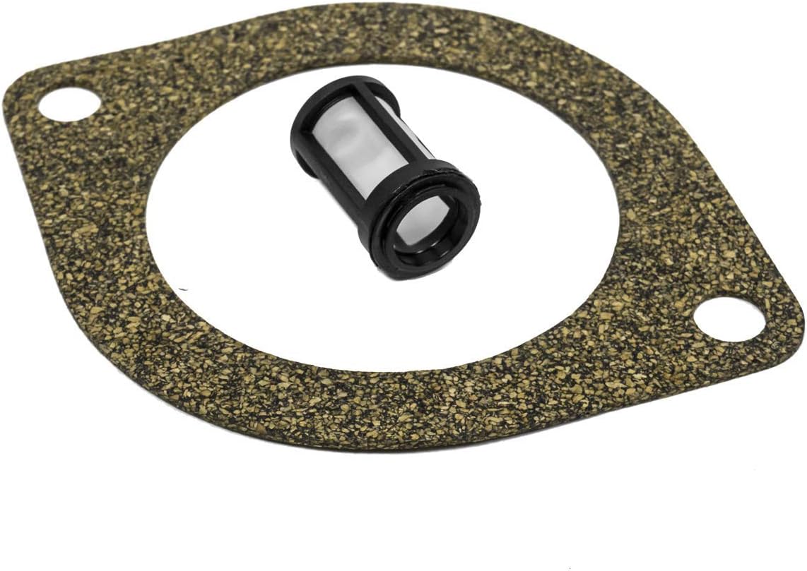 Western Fisher Snow Plow Motor Gasket 25861 5822 and Suction Filter 56185 7053K Kit