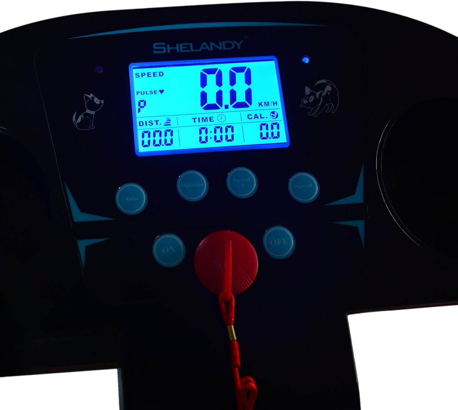 Shelandy Pet Treadmill | Smart and Motorized Treadmill for Small & Medium Dogs