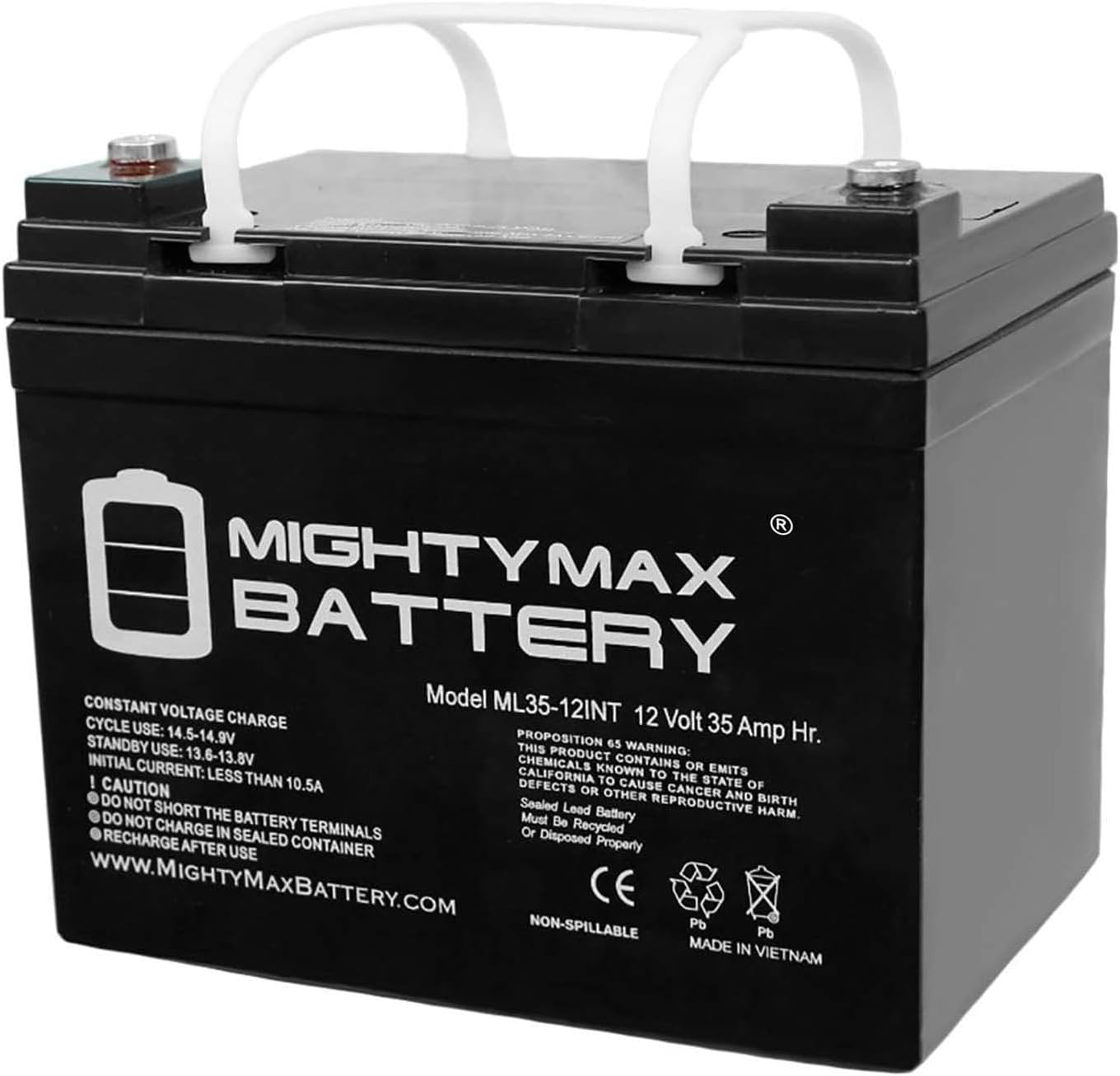 ML100-12 - 12 Volt 100 AH, Internal Thread (INT) Terminal, Rechargeable SLA AGM Battery, 1 Count (Pack of 1)