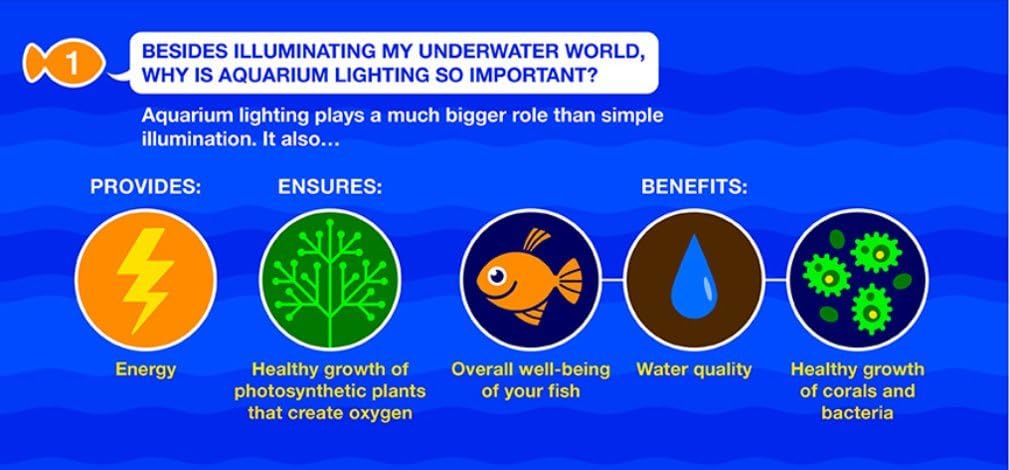 Marineland LED Aquarium Light, Natural Shimmering Light