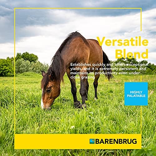Barenbrug Horsemaster Premium Pasture Grass Seed Mix (25 LB Bag)