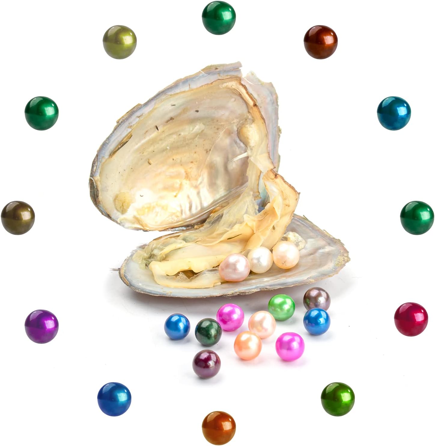 50 PC Freshwater Oyster with Pearls Inside Round Pearls Oysters Bulk 7-8mm Love Wish Pearl Party Kids Activity Birthday Gift | Includes 50
