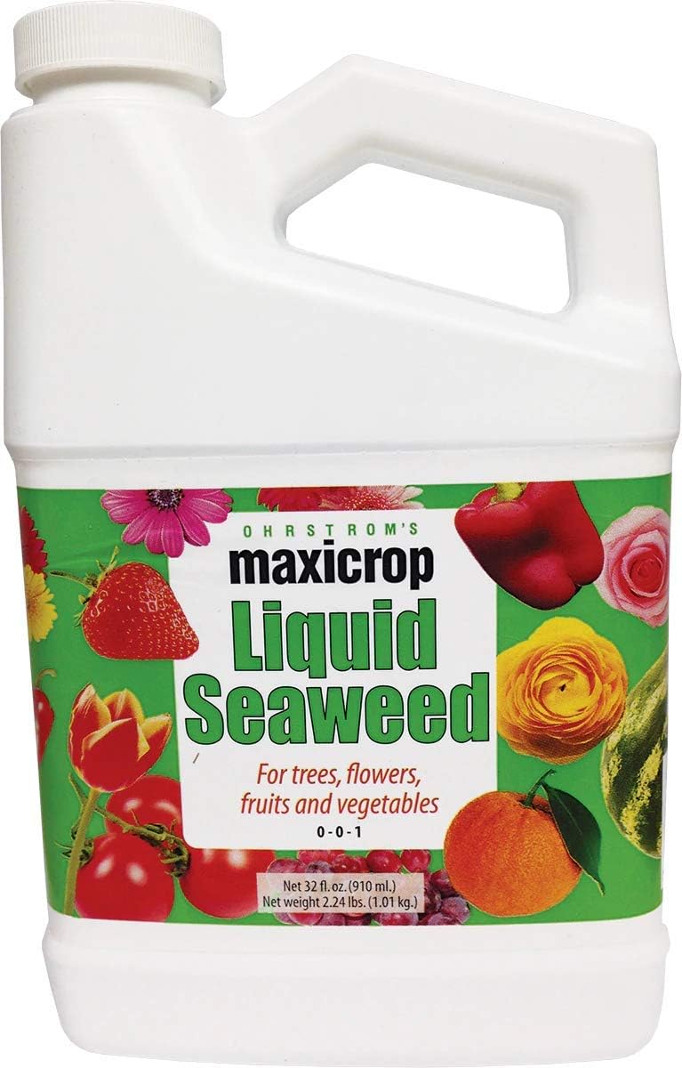 Maxicrop Original Liquid Seaweed, 1 Gallon (Packaging May Vary)