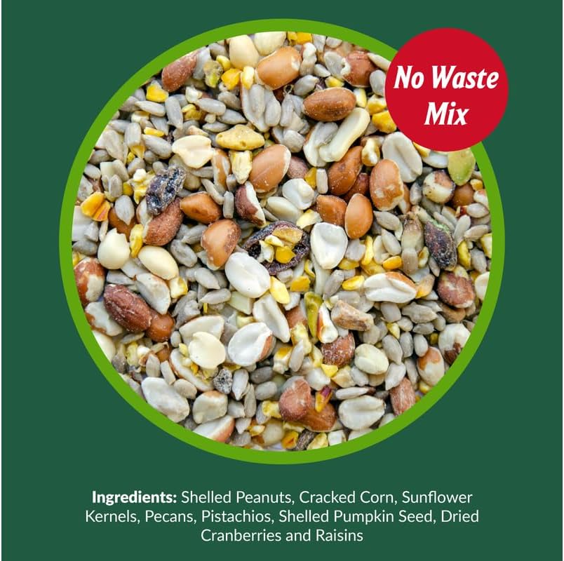 Lyric Woodpecker Wild Bird Seed for Outside Feeders, Shelled, No Waste Bird Seed with Nuts & Dried Fruit, 5 lb Bag | For outside feeders, shelled