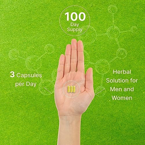 DEAL SUPPLEMENT Quercetin 1, 000mg Per Serving, 300 Capsules – Healthy Immune Support Supplements, High Bioavailable Flavonoids