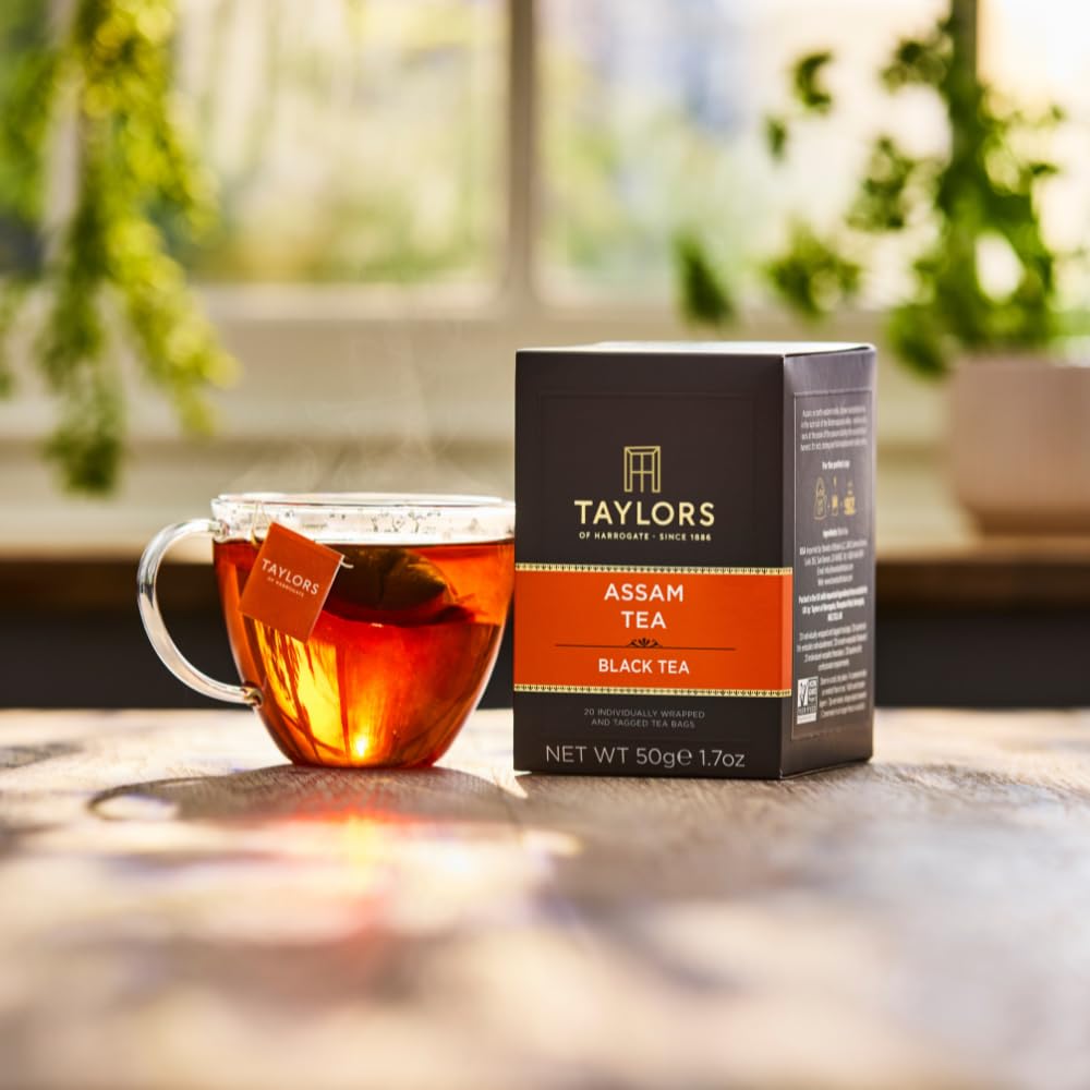 Taylors of Harrogate Green Tea with Jasmine, Individually Wrapped Bags, 20 Count (Pack of 1), Delicate, Floral & Sweet, Caffeinated, Enjoy Hot or Iced, 20 Teabags