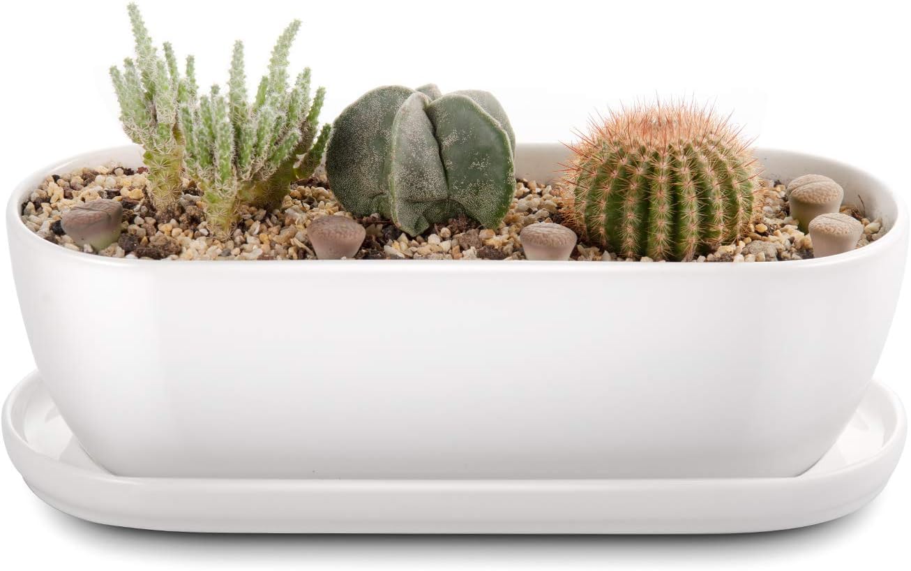 E-liu 11 Inch Oval Ceramic Planter Pot with Drainage Hole Saucers