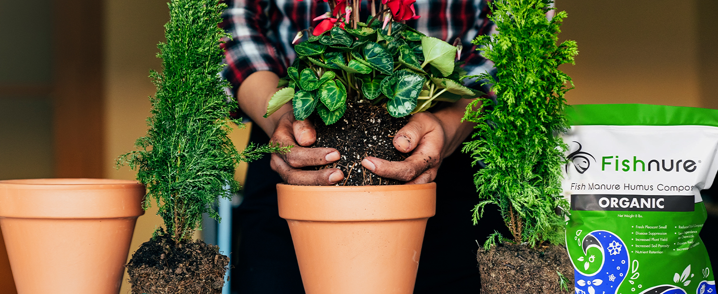 Pot Planting