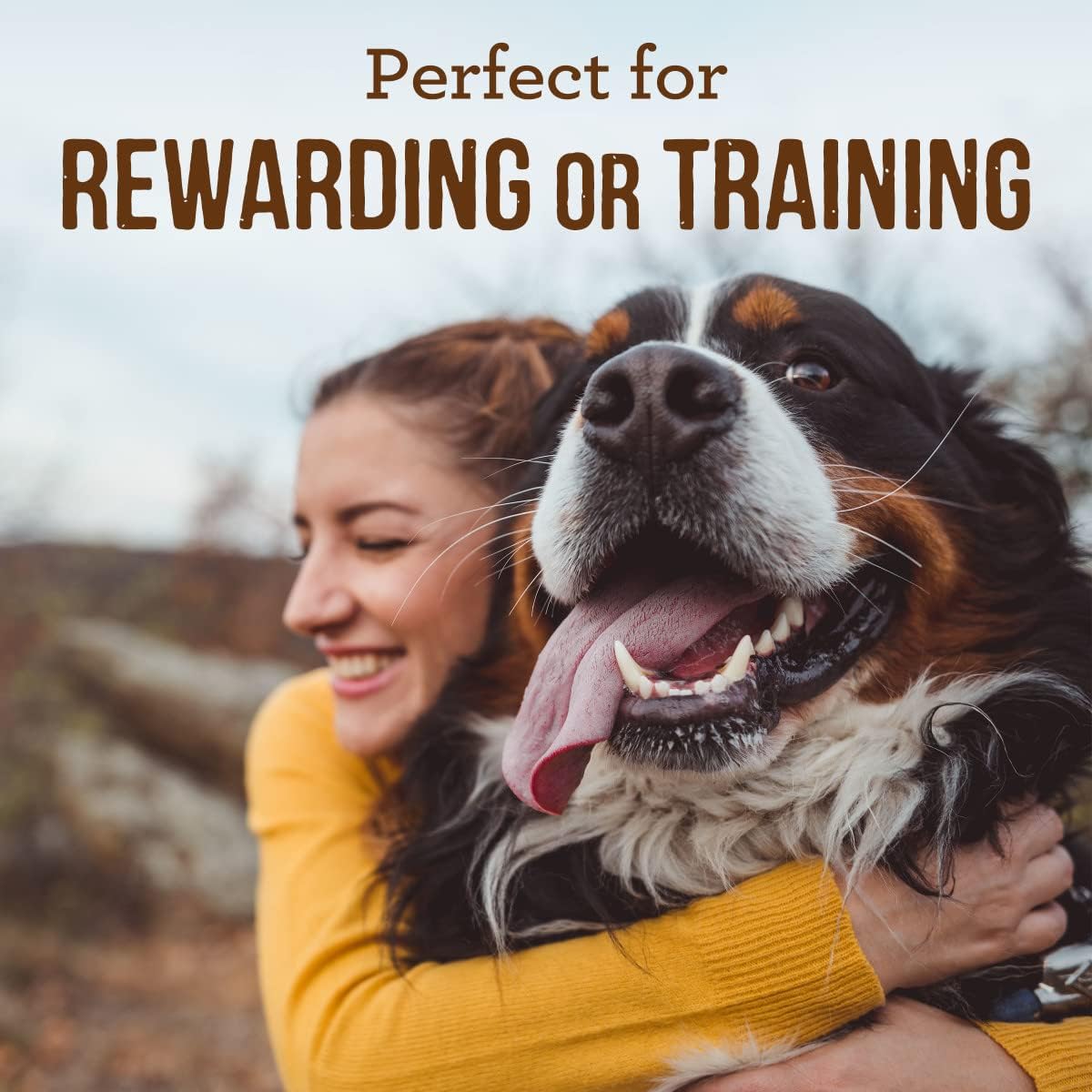 Merrick Power Bites Salmon Grain Free Dog Treats 6 oz Bag | Wholesome and flavorful dog treats made with salmon as the #1 ingredient, perfect for anytime snacking or training rewards