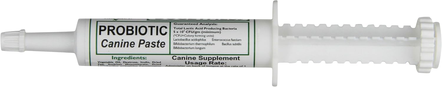 Dogzymes Canine Probiotic Paste Beneficial Bacteria-Enzyme 2.3 Billion CFU/gm Saccharomyces boulardii Organic Dried Honey Powder (30 Gram)