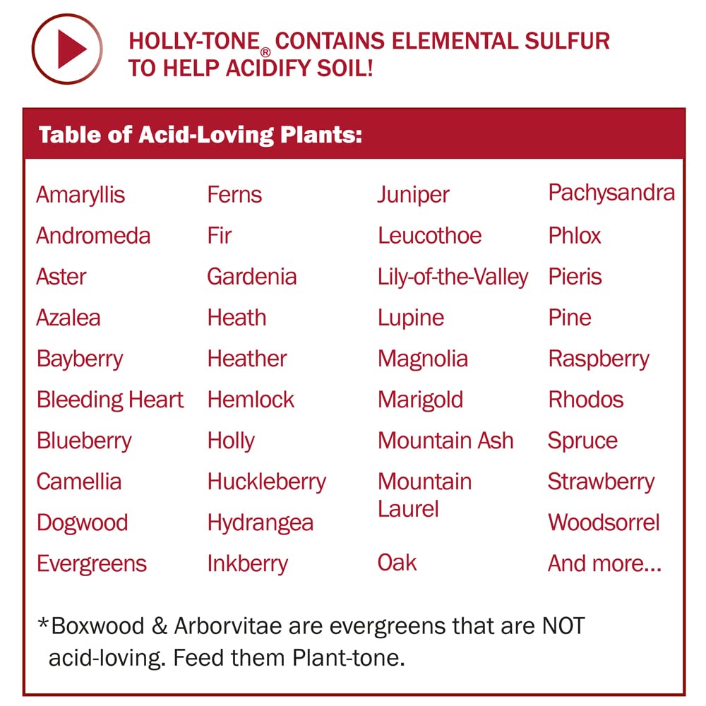 Espoma Organic Holly-Tone 4-3-4 Evergreen & Azalea Plant Food, 4lb. Bag
