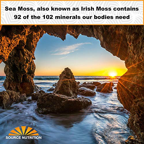 1 lb Wild Crafted Raw Sea Moss - Perfect for Gel & Smoothies, Clean Ocean Harvest, Hand Picked & Sun Dried - Bulk Irish Moss Superfood