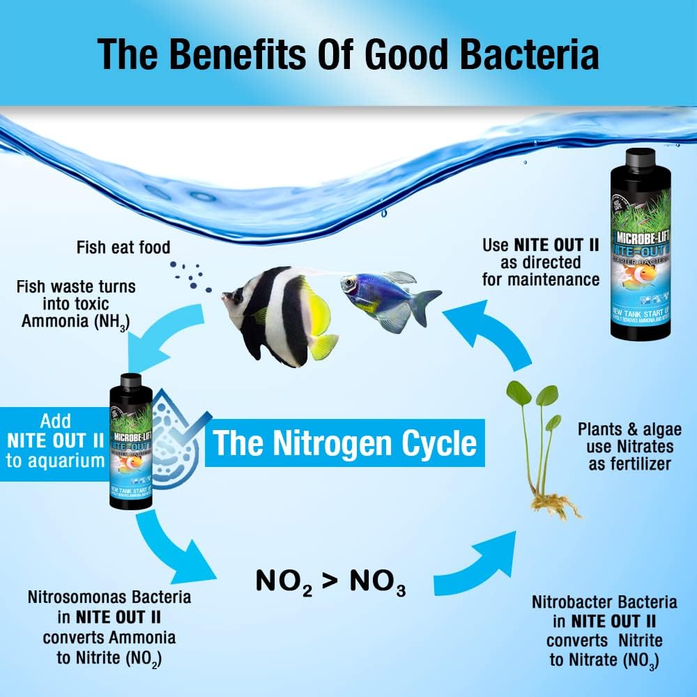 MICROBE-LIFT Nite-Out II Aquarium Bacteria for Start-up, Instantly Cycle Aquariums, Add Fish on Day 1, Rapid Ammonia and Nitrite Reducer for Freshwater & Saltwater Fish Tank, 16 Ounces (NITEH16)