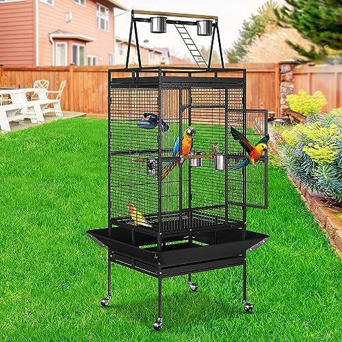 Nova Microdermabrasion 68-Inch Height Wrought Iron Standing Large Play Top Bird Cage for African Grey Small Quaker Parrot Cockatiel Sun Parakeet Green Cheek Conure Dove Budgie Lovebird