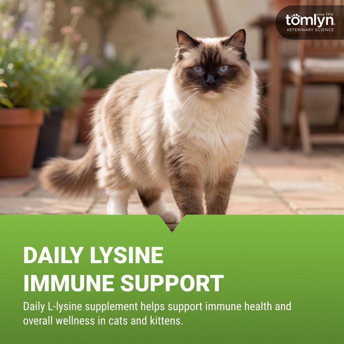 Tomlyn Immune Support Daily L-Lysine Supplement, Fish-Flavored Lysine Powder for Cats and Kittens, 3.5oz