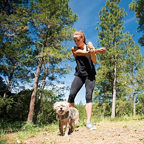 Nulo Small Breed Grain Free Dry Dog Food with BC30 Probiotic (Salmon and Red Lentils Recipe, 11b Bag)