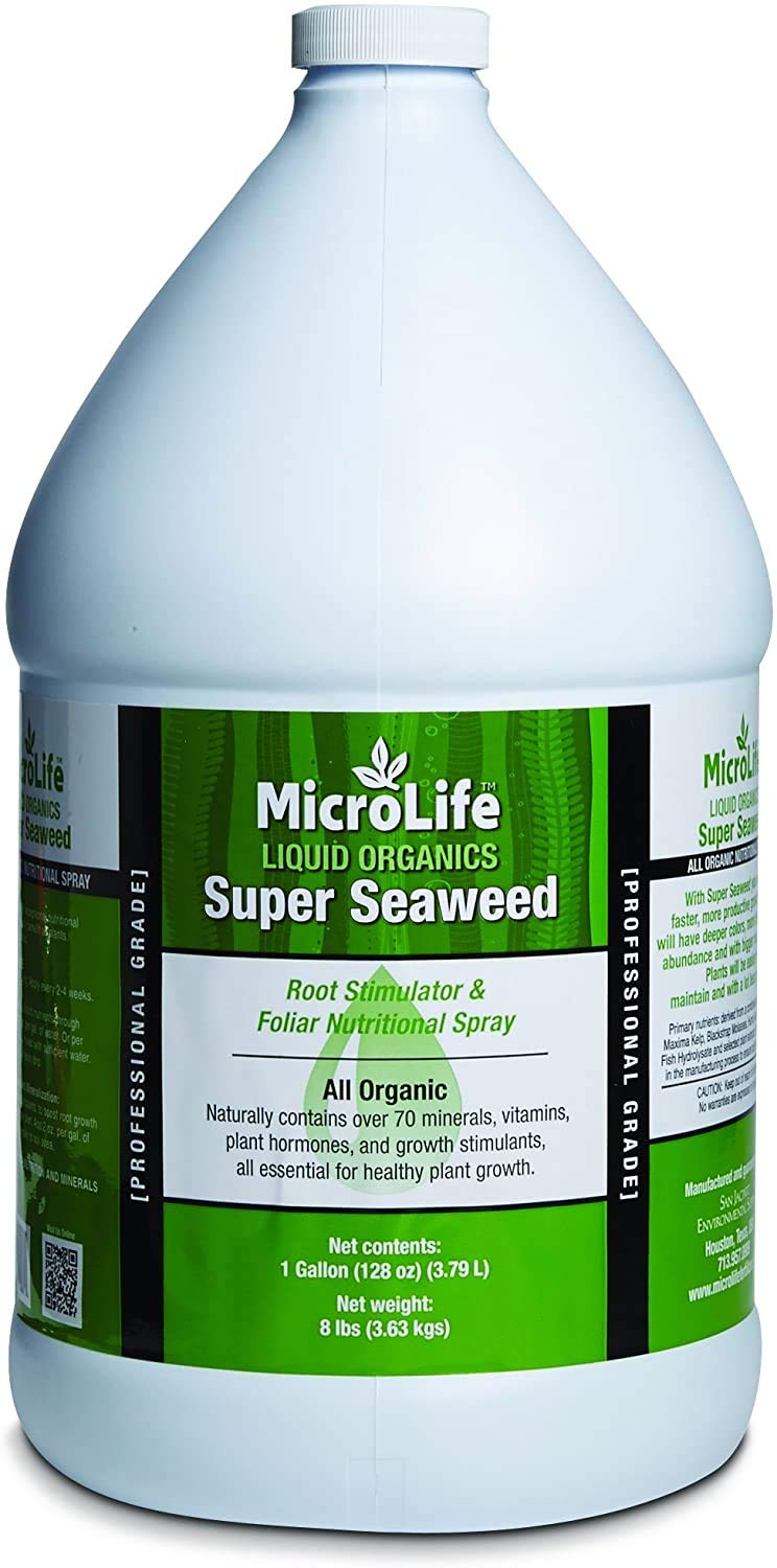 MicroLife Super Seaweed Professional Grade Organic Liquid Concentrate Root Stimulator & Foliar Nutritional Spray for All Plants, 1 Gallon