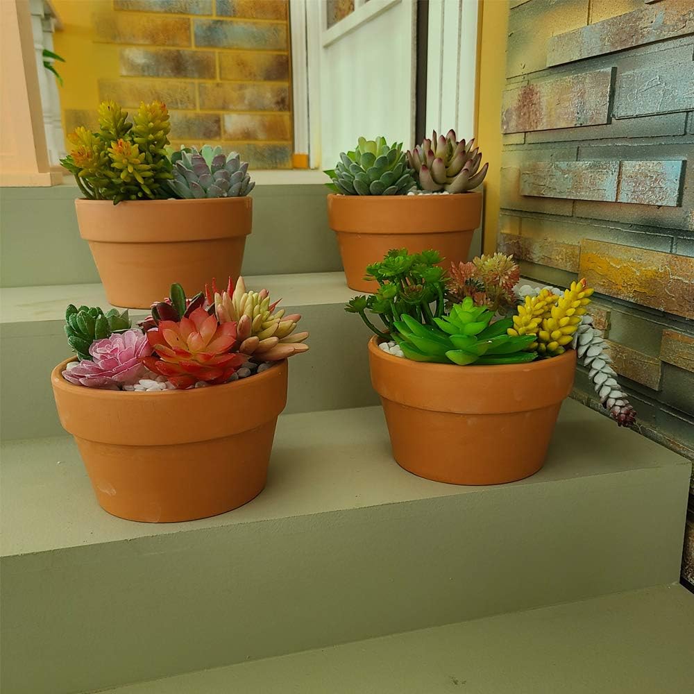 Yishang 6 Inch Terracotta Shallow Planters, Ceramic Flower Clay Plant Pots with Drainage Hole