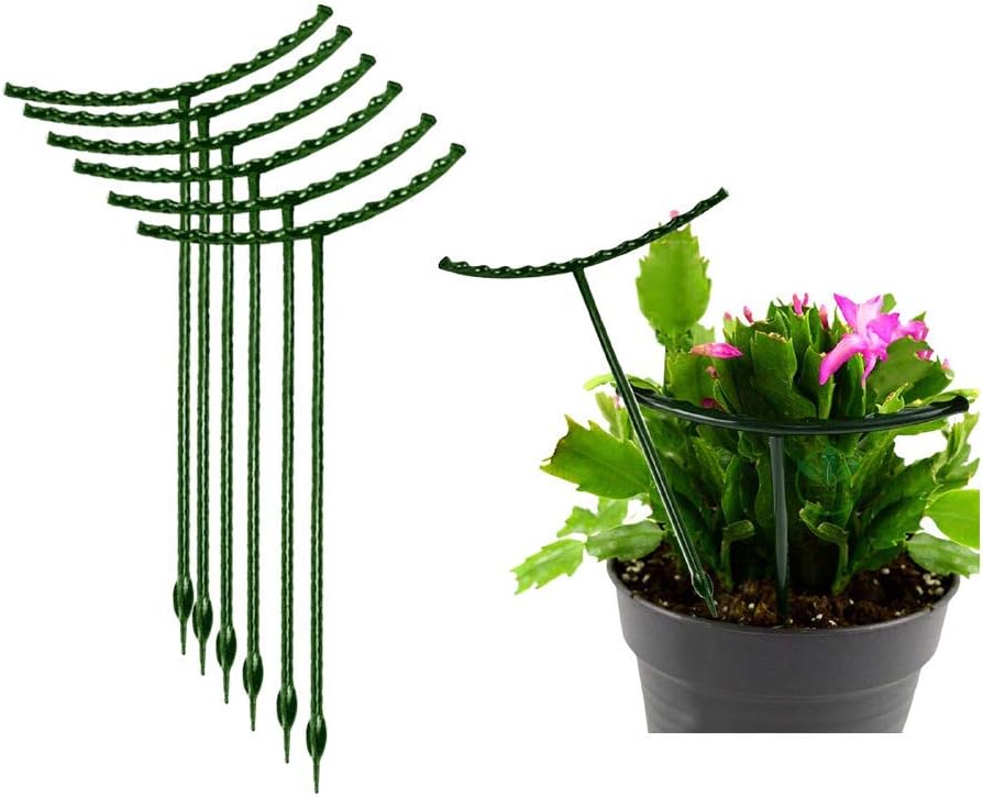 Belit 8 Pack Plant Supports for Small Plants, Garden Flowers Green Plant Support Ring, Planter Support Ring for Schlumbergera, Clivia, Succulents