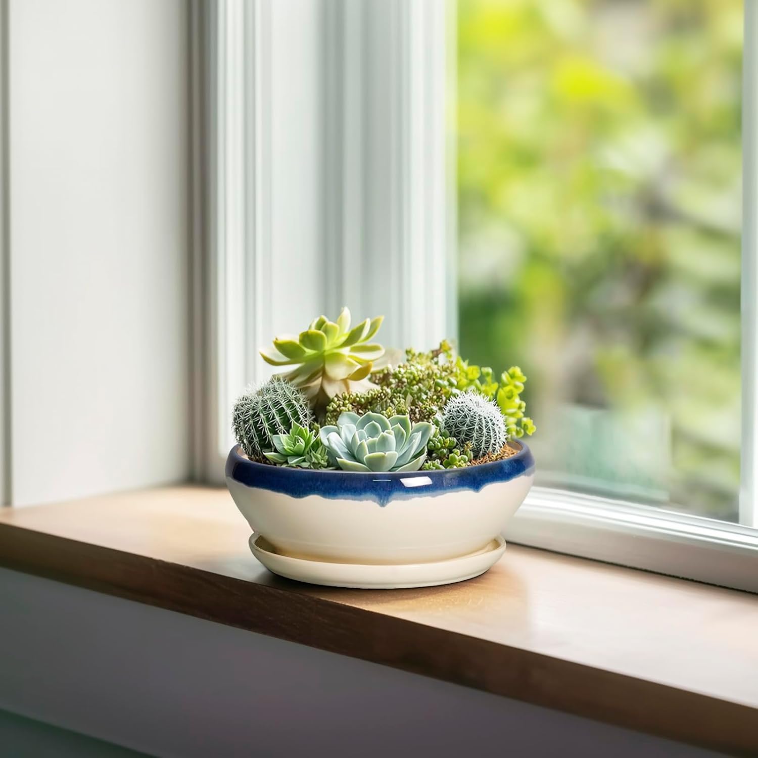 SQOWL 7 Inch Round Ceramic Succulent Planter Pot Drip Glazed Shallow Planter with Drainage Bamboo Tray for Indoor Plants