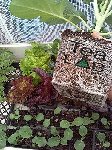 TeaLAB Insect Frass: Organic Fertilizer - 10 Pounds