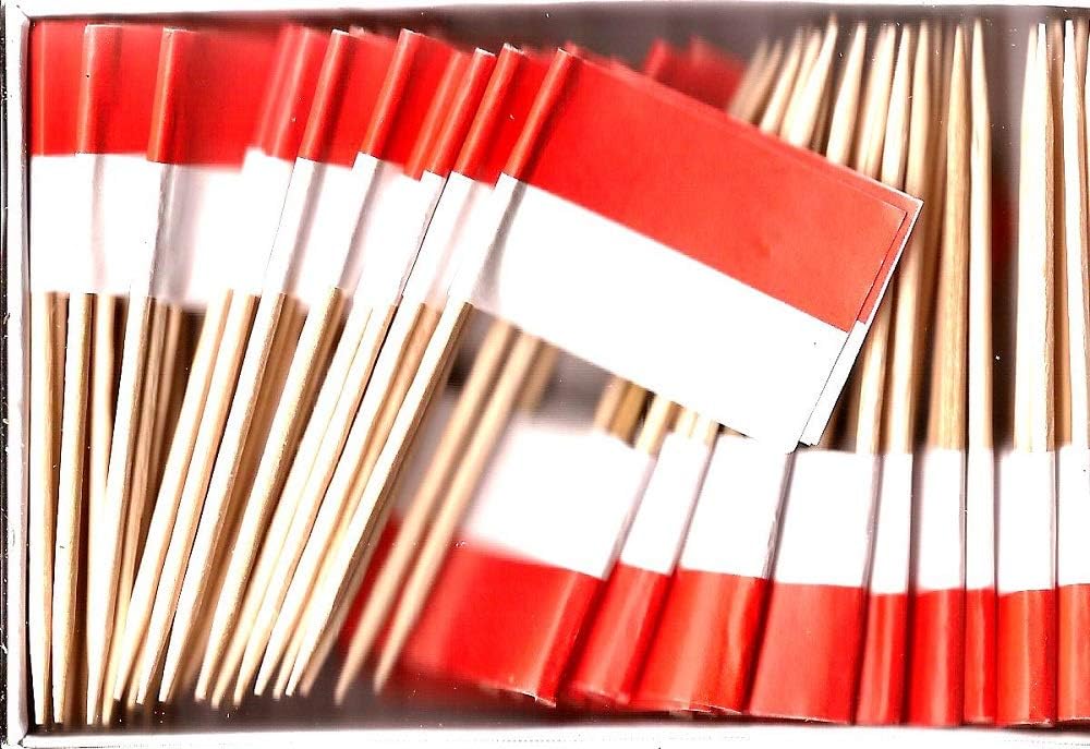 One Box of 100 Nicaragua Toothpick Flags, 100 Small Mini International Flag Cupcake Toothpicks or Cocktail Picks