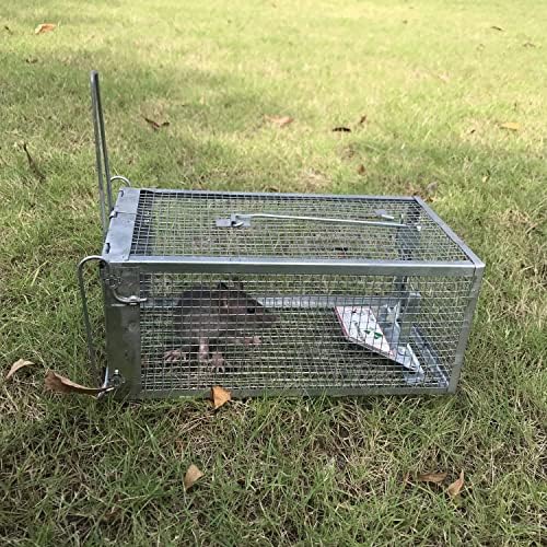 Kensizer Humane Rat Trap, Small Mouse Traps 10.5" L x 5.5" W x 4.5" H | Chipmunk Rodent Trap, Indoor and Outdoor, Mouse Voles Hamsters, Live Cage Catch and Release, 1-Pack