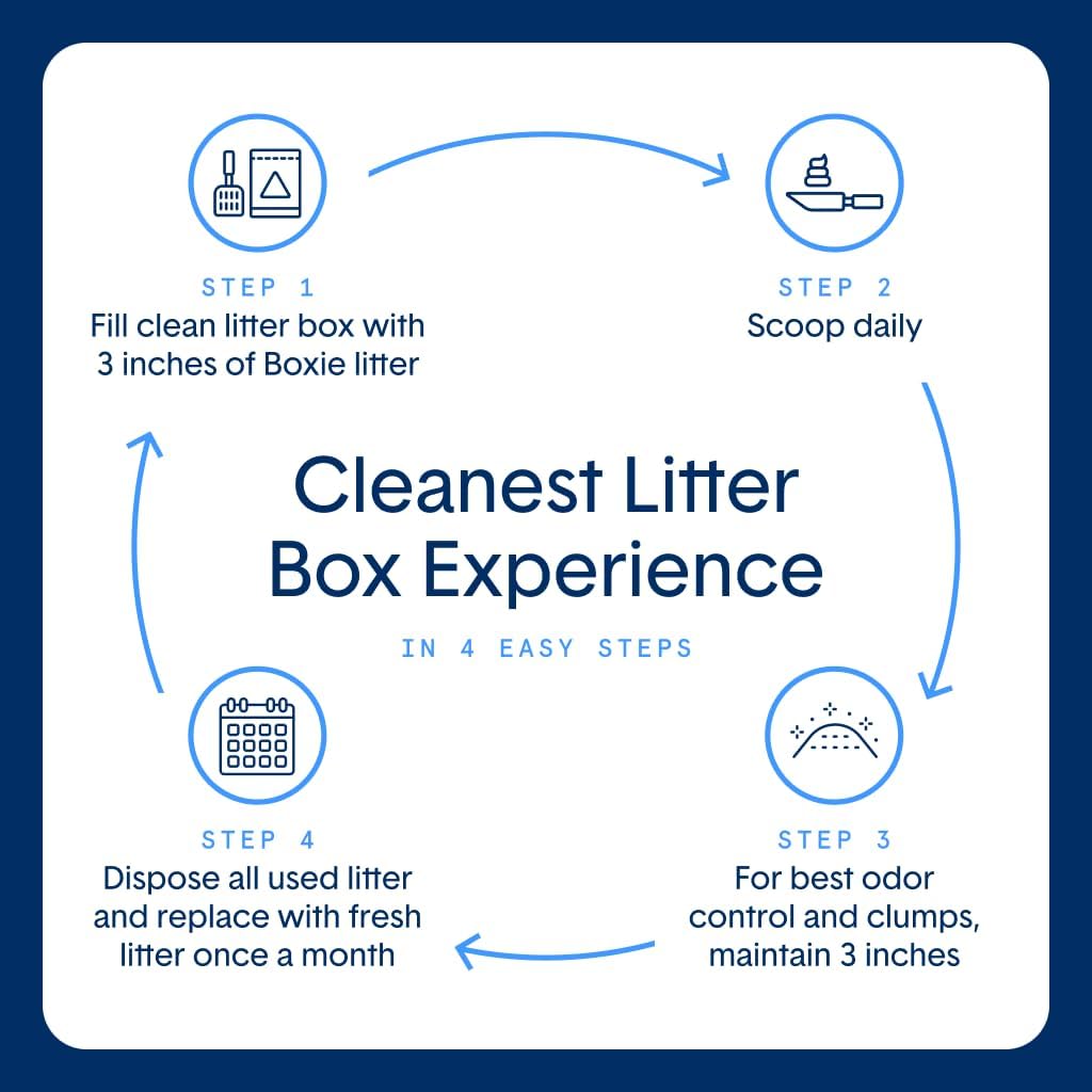 Boxie Premium Unscented Clumping Cat Litter 30+ Day Odor Control 16 lb