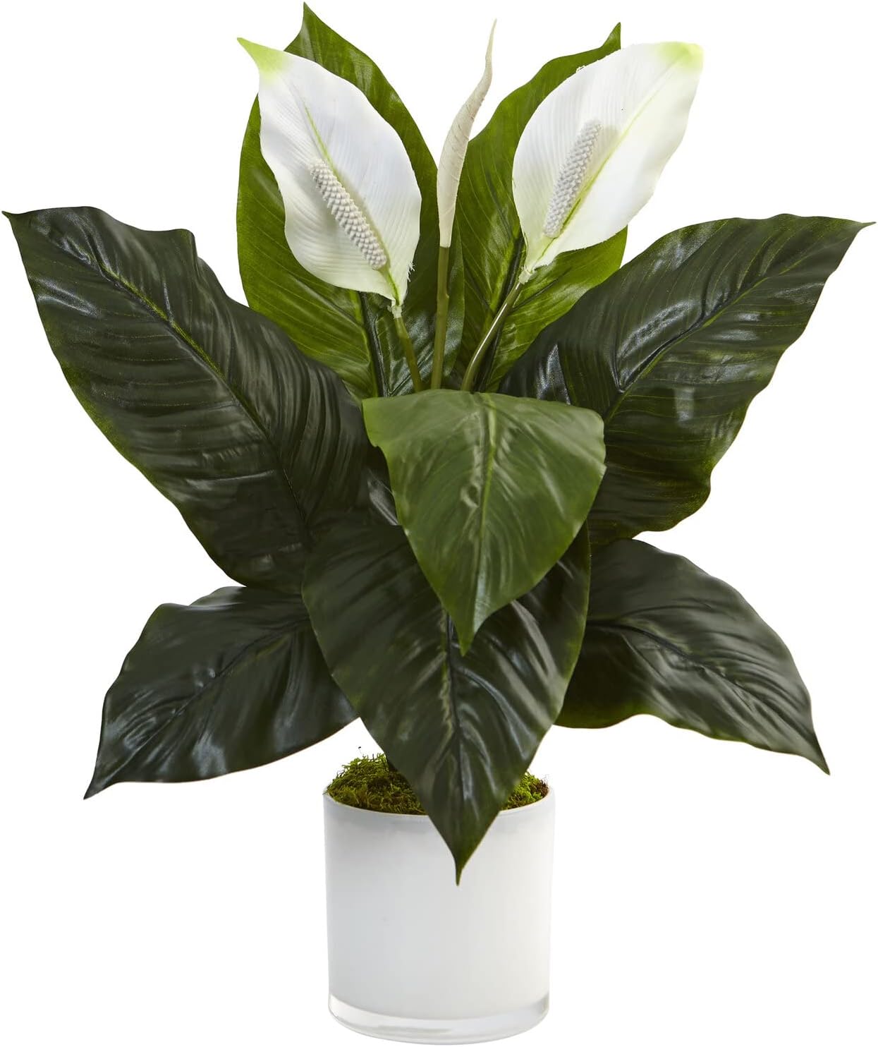 Nearly Natural 26 in Artificial Peace Lily Glass Planter Office Room Decor | Thick Bountiful Leaves, Premium Quality Materials