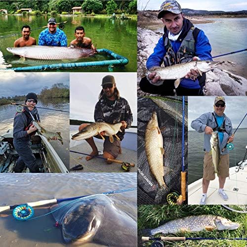 M MAXIMUMCATCH Maxcatch Predator Big Game and Saltwater Fly Fishing Rod: 7'11''/9'/9'2''/10', 4-Piece, 8/9/10/11/12 Weight